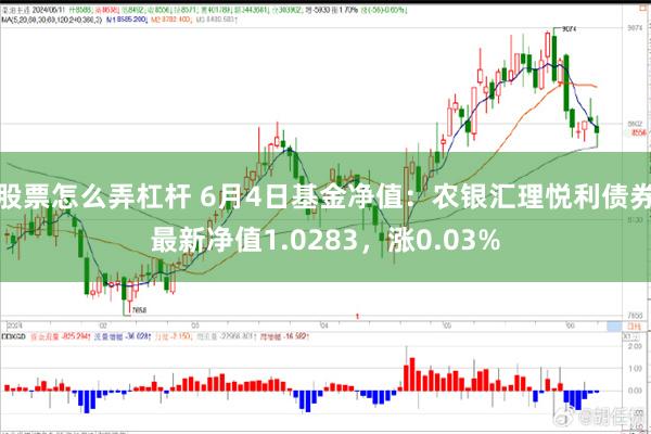 股票怎么弄杠杆 6月4日基金净值：农银汇理悦利债券最新净值1.0283，涨0.03%