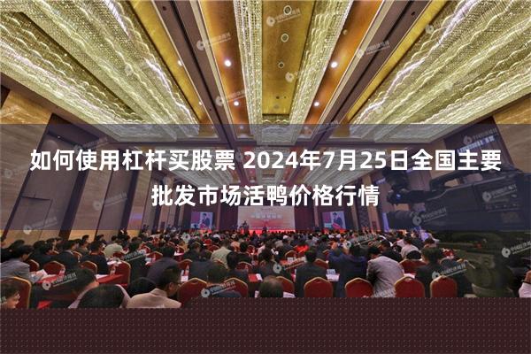 如何使用杠杆买股票 2024年7月25日全国主要批发市场活鸭价格行情