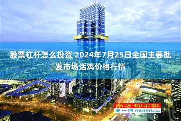 股票杠杆怎么投资 2024年7月25日全国主要批发市场活鸡价格行情